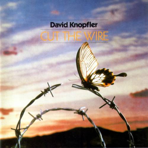 David Knopfler 