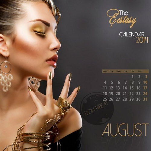 VA - The Ecstasy Calendar 2014 