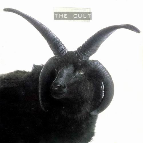 The Cult Discography 