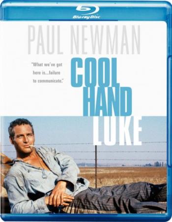   / Cool Hand Luke MVO