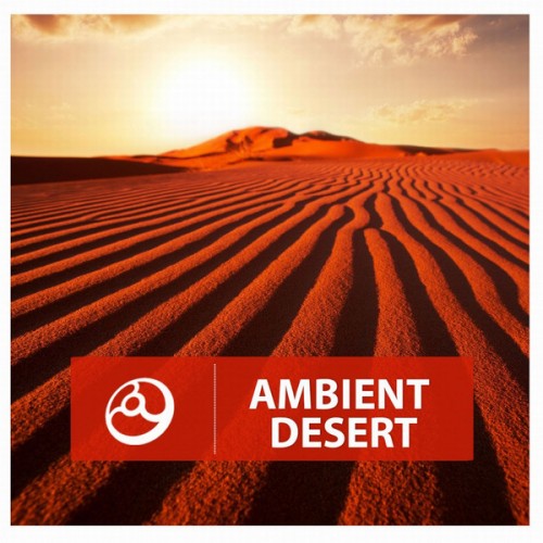 VA - Ambient Sessions, Realms, Attraction, Times... 