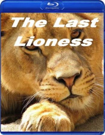   / The Last Lioness