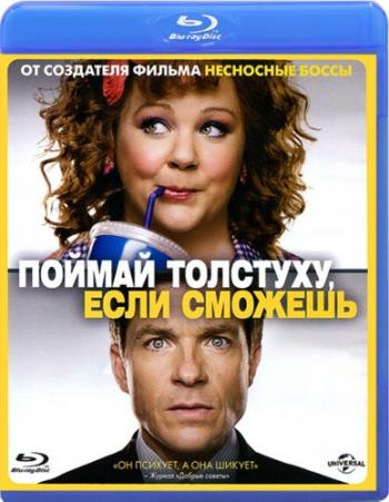 a o,   [ ] / Identity Thief [Theatrical Cut] DUB