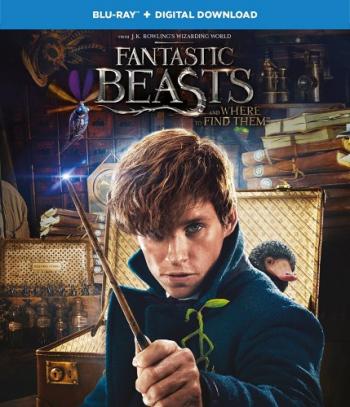       / Fantastic Beasts and Where to Find Them DUB