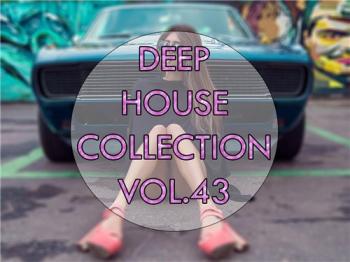 VA - Deep House Collection vol.43