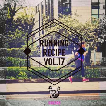 VA - Running Recipe, Vol. 17