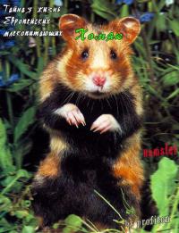    :  / The Secret Life Of European Mammals:Hamster