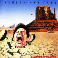 Tygers of Pan Tang -  