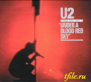 U2 -  