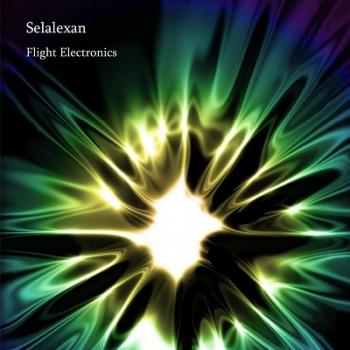 Selalexan - Flight Electronics