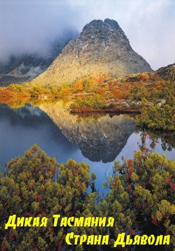  .   / Nat Geo Wild. Wild Tasmania VO