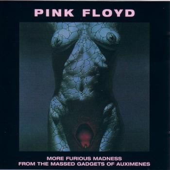 Pink Floyd - More Furious Madness From The Massed Gadgets Of Auximenes