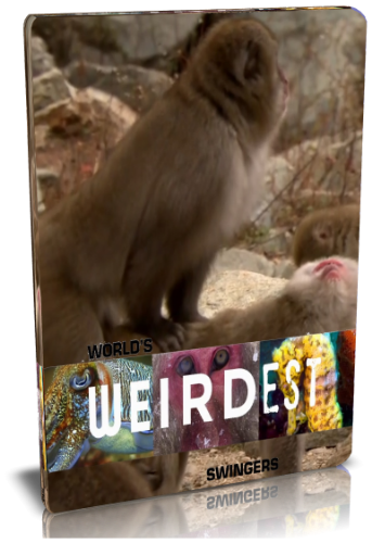    :   .  / NAT GEO WILD. World's weirdest. Swingers VO