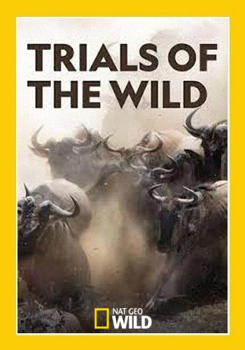     (1 c, 1-10   10) / NAT GEO WILD. Trials of the Wild VO