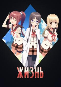  / Jinsei [TV] [13  13] [RAW] [RUS] [720p]