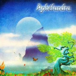 Aphelandra - Aphlandra