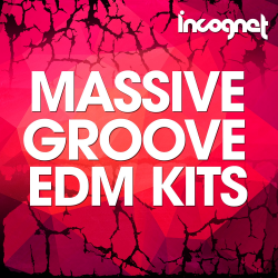 VA - Scene Massive Groove EDM