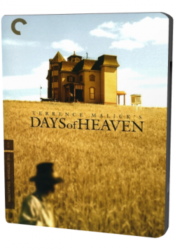   / Days of Heaven MVO