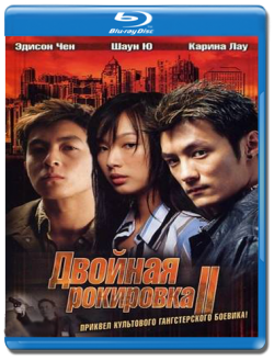   2 / Infernal Affairs II / Mou gaan dou II MVO