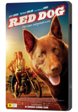   / Red Dog MVO