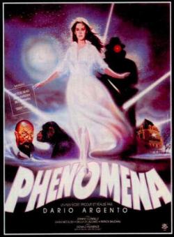  / Phenomena DVO