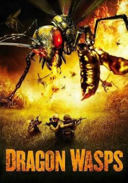   / Dragon Wasps MVO