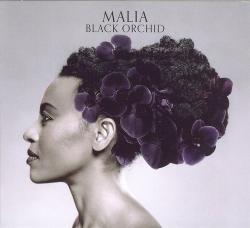 Malia - Black Orchid