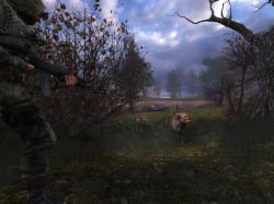 S.T.A.L.K.E.R.:   - Last Day /  