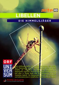  .   / Libellen. Die Himmelsjaeger DUB