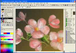 TwistedBrush Pro Studio 17.21