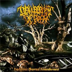 Disfigurement Of Flesh - Psychotonic Abnormal Dismemberment