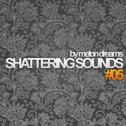 VA - Shattering Sounds #5