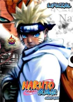 :   / Naruto Shippuuden [TV-2] [ 233-244  ] [RAW] [RUS ]