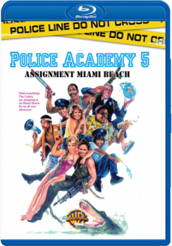   5:   -   / Police Academy 5: Assignment: Miami Beach DUB+DVO+2xMVO+AVO