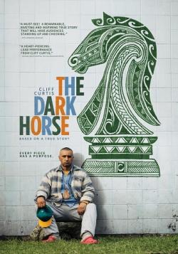 Ҹ  / The Dark Horse AVO