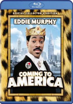    / Coming to America AVO