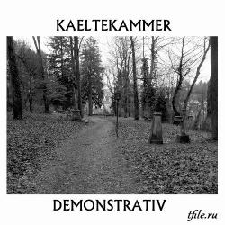 Kaeltekammer - Demonstrativ