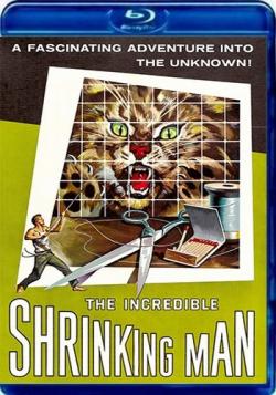    / The Incredible Shrinking Man MVO