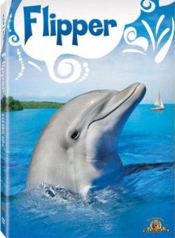  (25-36   80) / Flipper