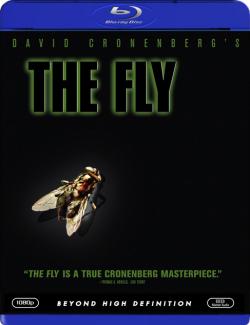  / The Fly