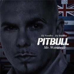 Pitbull - Mr. Worldwide