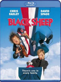   / Black Sheep MVO