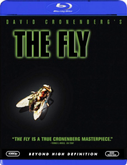  / The Fly MVO