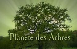  .  / Planeta des Arbres. Le sapin VO