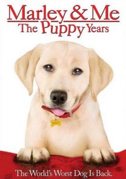    2 / Marley & Me: The Puppy Years MVO