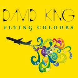 David King - Flying Colours