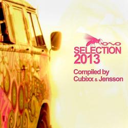 VA - Selection 2013