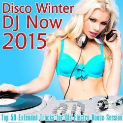 VA - Disco Winter DJ Now 2015