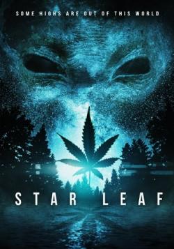 Star Leaf ENG