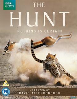  (1-7   7) / The Hunt DVO